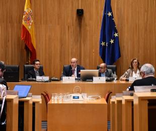El vicepresidente primero ha intervenido en una jornada sobre repoblación rural en el Congreso de los Diputados